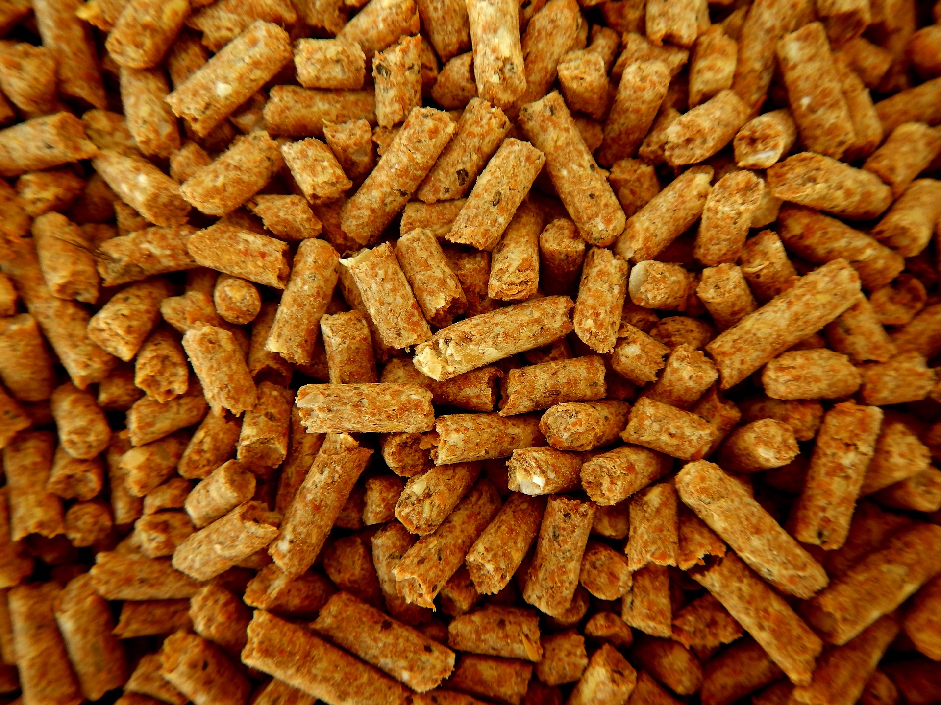 pellet ciemny